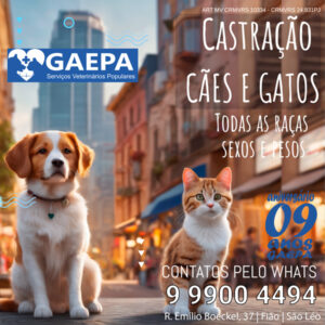 banner-castra-2023-animado-v2