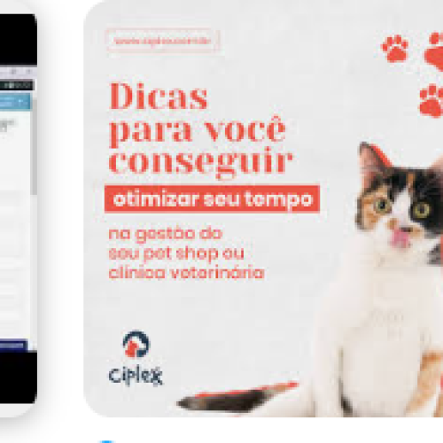 Análise do Ciplex Sistemas Veterinários