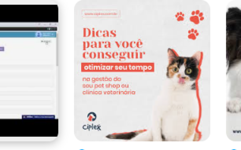 Análise do Ciplex Sistemas Veterinários