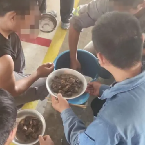 Na Bahia, sem brasileiros e violando direitos – BYD e governo