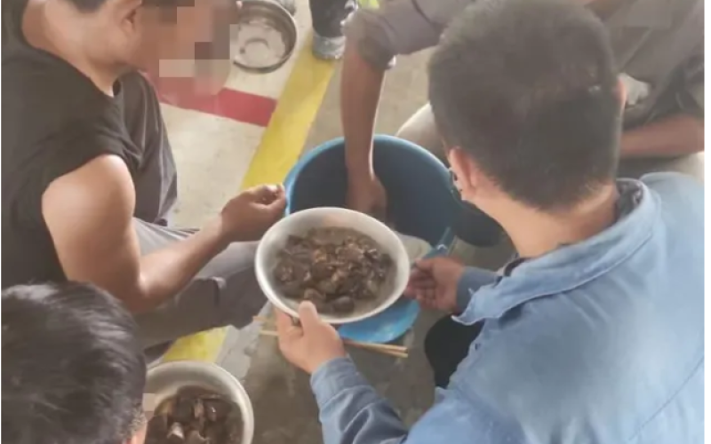 Na Bahia, sem brasileiros e violando direitos – BYD e governo