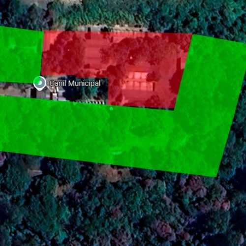 Espaço do Canil: Entenda a Verdade Sobre a Situação dos Cães Abrigados