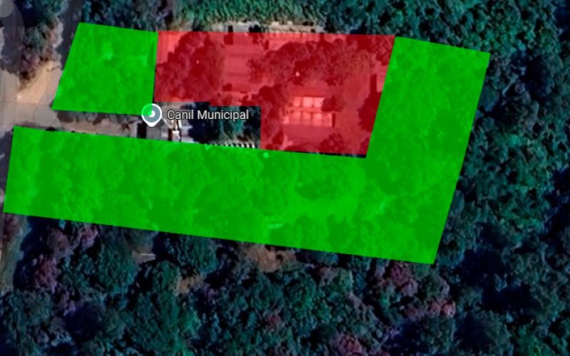 Espaço do Canil: Entenda a Verdade Sobre a Situação dos Cães Abrigados