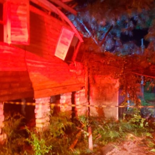 Burocracia e Multas na Remoção de Árvores Caídas