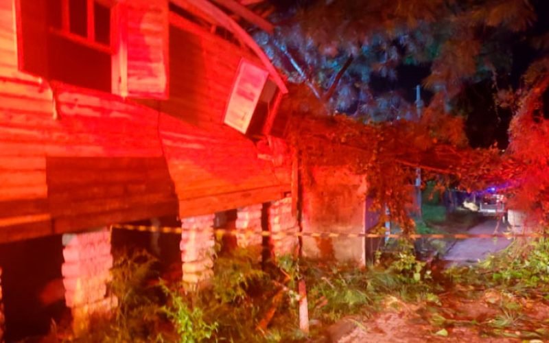 Burocracia e Multas na Remoção de Árvores Caídas