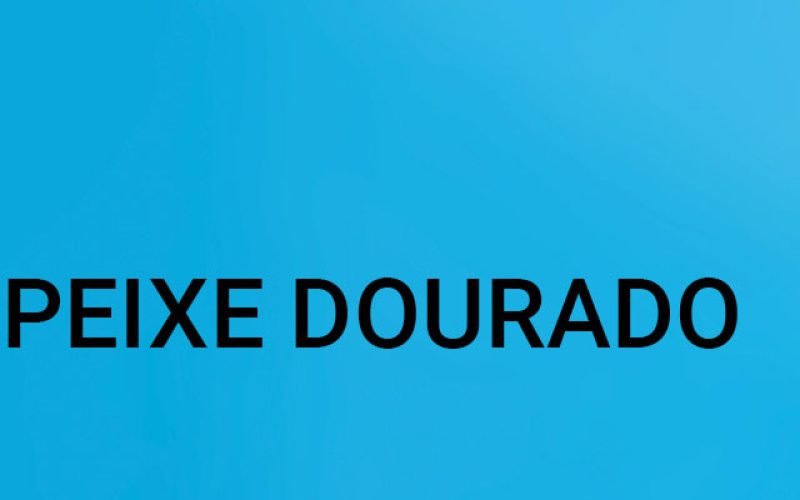 CPI investiga contratos do barco-escola Peixe Dourado em São Leopoldo.