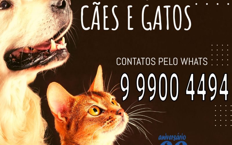 Pimenta Democrática 10 Agora, você pode agendar a castração do seu cão ou gato de forma segura e direta