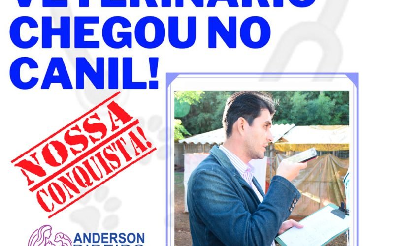 São Leopoldo: Contratação de Veterinários para o Canil Municipal