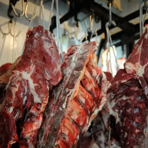 Lojas Tem Di tudo vendem carne podre dos alagamentos