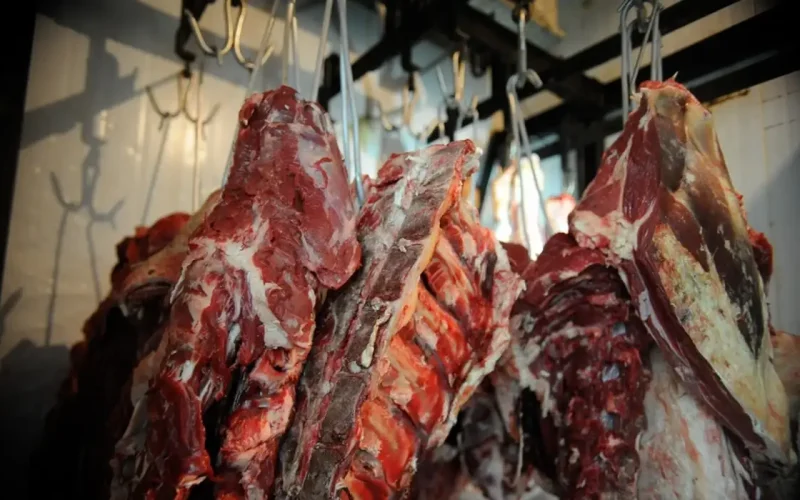 Lojas Tem Di tudo vendem carne podre dos alagamentos
