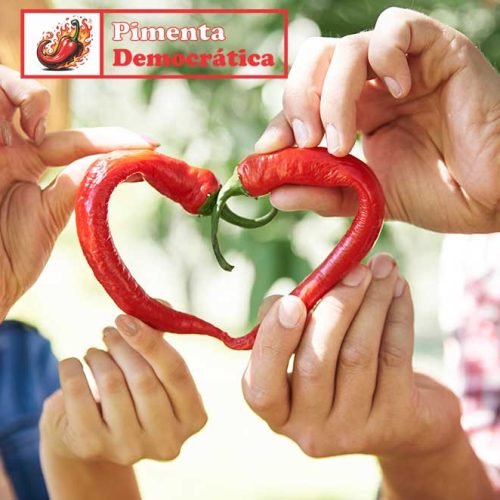 O momento é delicado, e ter opinião e dar voz à comunidade são essenciais