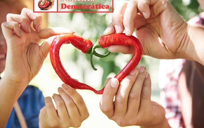 O momento é delicado, e ter opinião e dar voz à comunidade são essenciais