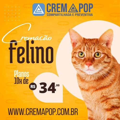 CremaPop – Retribua o amor que seu pet demostrou a você