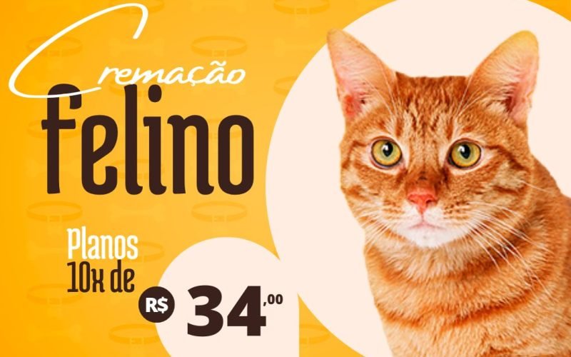 CremaPop – Retribua o amor que seu pet demostrou a você