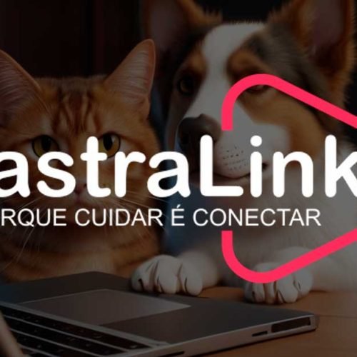 CastraLink une tutores e veterinários em uma rede solidária de castração animal