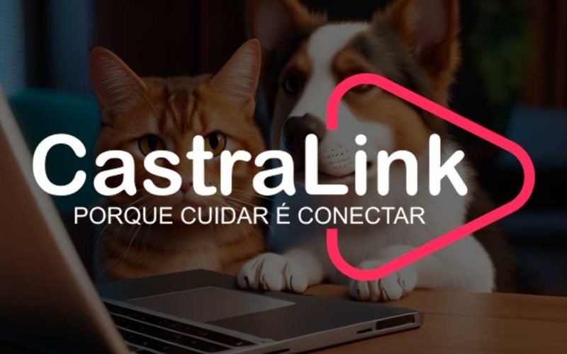 Pimenta Democrática 6 CastraLink une tutores e veterinários em uma rede solidária de castração animal