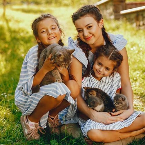 Animais de estimação: um conceito jurídico em transformação no Brasil