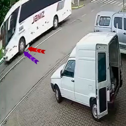 GAEPA: justiça para cães comunitários atropelados, e exige reparação coletiva de R$ 200 mil.