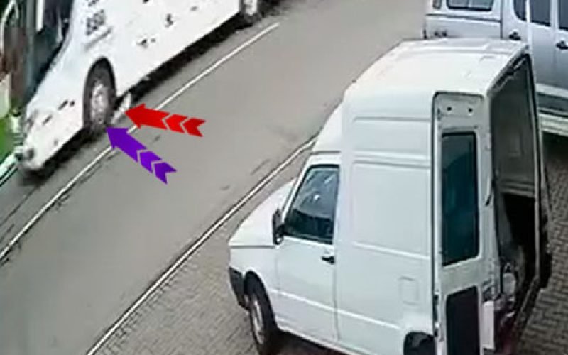 GAEPA: justiça para cães comunitários atropelados, e exige reparação coletiva de R$ 200 mil.