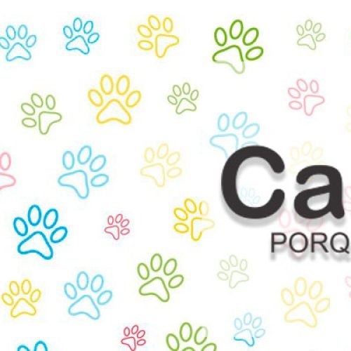 Anderson Ribeiro | CastraLink