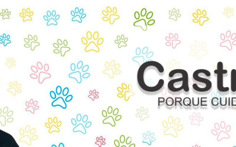 Anderson Ribeiro | CastraLink